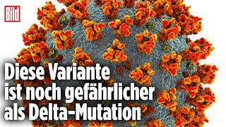 Ohne Impfpflicht gehts nicht Neue CoronaVariante macht Karl Lauterbach große Sorgen [upl. by Anik523]