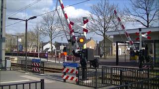 Spoorwegovergang Wijchen Station Wijchen  Dutch railroad crossing [upl. by Alyag]