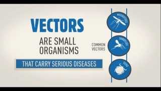 WHO Vector borne disease animation WHD2014 [upl. by Rombert]