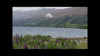 Kingston town and Lake Whakatipu South Island of New Zealand [upl. by Dore657]