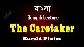 The Caretaker by Harold Pinter  Part2  বাংলা লেকচার  Bengali Lecture [upl. by Verdha936]