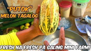 ANG ICE CREAM NG MGA 90S MELON TAGALOG GINAWANG ICE CREAM [upl. by Berte]