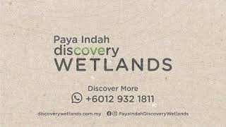 Paya Indah Discovery Wetlands [upl. by Lirbaj489]