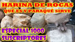 HARINA DE ROCAS QUÉ ES Y PARAQUÉ SIRVE quotquotESPECIAL 1000 SUSCRIPTORES Y 100000 VISITASquotquot [upl. by Ahcrop632]