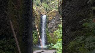 Wiesendanger Falls is a 50 foot waterfall on Columbia River Gorge Cascade Locks Oregon [upl. by Oiralih844]