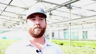 NanoGro® on greenhouse plants season long soil and plant health [upl. by Constancy83]