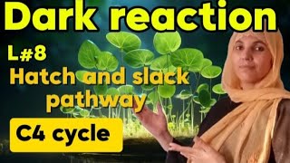 Plant PhysiologyL8Dark ReactionC4 cycle Or Hatch and Slack PathwayAll boardNEETMDCAT Biology [upl. by Odelinda672]