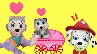 Paw patrol en español  Cachorro Everest  Videos de juguetes de la patrulla canina para niños [upl. by Yttik]