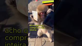 Esse tá Louco Por Dinheiro 😂 pets fofo [upl. by Derek]