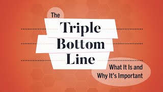 What Is the Triple Bottom Line  Business Explained [upl. by Lash]