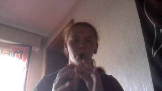 Raggle Taggle Gypsy on Tin Whistle in D [upl. by Coral]