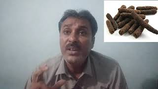 Long Pepper Benefit  Kabootar Khel Nuskha Main Pippali Istimal k Fayde sultankabootarbazitips [upl. by Ineslta]