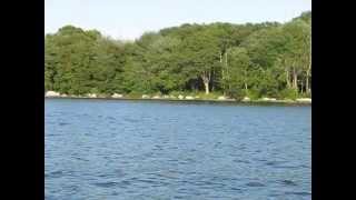 Stafford Pond video tour of a section of the pond while on a motor boat [upl. by Patten240]