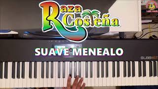 Raza Costeña  Suave Menéalo Tutorial Teclado [upl. by Ryley515]