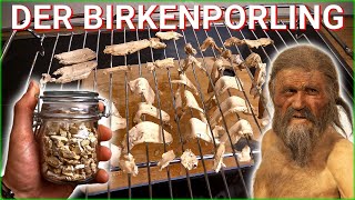 Birkenporling richtig zubereiten im Ofen trocknen und einlagern Tutorial [upl. by Janetta]