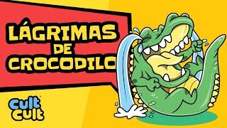 Lágrimas de crocodilo  Expressões Populares [upl. by Irolam]