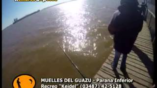 pejerrey recreo KEIDEL GUAZU daniel guffanti hombres de pesca [upl. by Ilaire]