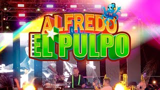 Alfredo quotEl Pulpoquot y sus teclados  Mambo 8 EN VIVO [upl. by Noloc]