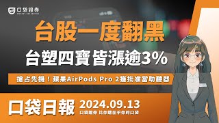 台塑四寶皆漲逾3，台股一度翻黑，搶占先機！蘋果AirPods Pro 2獲批准當助聽器！ 口袋日報  20240913 [upl. by Haon]