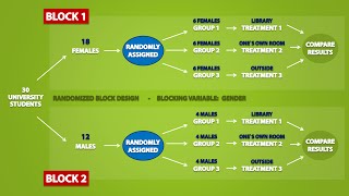 Types of Experimental Designs 33 [upl. by Ynez752]