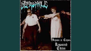 The Blackened Plague I Remastered [upl. by Oisangi69]