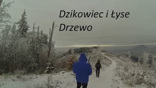 Dzikowiec i Łyse Drzewo [upl. by Ursas74]