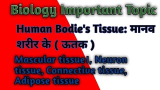 Biology Important Topic TISSUE उतक   Human bodies tissue  Biology class Tissue class [upl. by Seftton113]