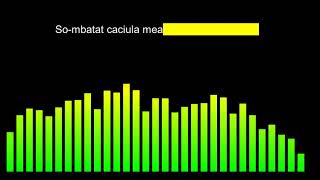 So imbatat caciula mea  Negativ [upl. by Grunenwald]