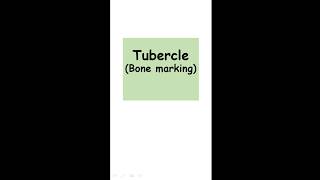 Tubercle Bone Marking [upl. by Anelrac]