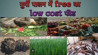 गावरान मुर्गी पालन में free का low cost feed  pure gavran murgi farm  gavran kombdi [upl. by Uile956]