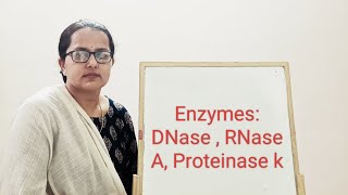 Enzymes DNase  RNase  Proteinase k [upl. by Duma]