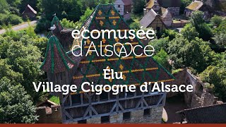 Les cigognes à lÉcomusée dAlsace [upl. by Gaeta930]