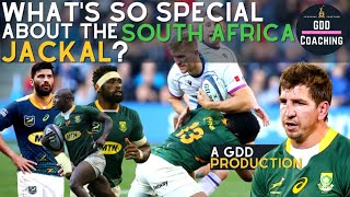 What’s So Special About The South Africa Jackal  South Africa v Wales amp Scotland  Rugby Analysis [upl. by Anitan587]