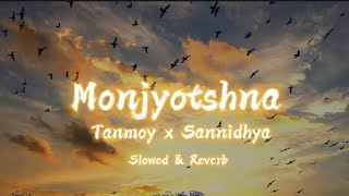 Monjyotshna  Tanmoy Saikia Sannidhya Bhuyan amp STANNiUM  OLONGKAR  Slowed amp Reverb [upl. by Ambrosine]