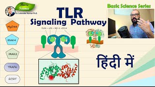 Tolllike receptor Signaling Pathway क्या है  Detailed Presentation  Basic Science Series Hindi [upl. by Valerle]