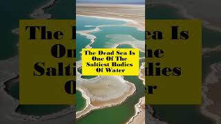 The Dead Sea is one of the saltiest bodies of water viral world shorts youtubeshorts new [upl. by Htiffirg]