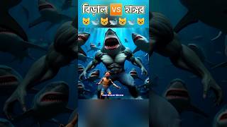 Shark Gang vs Fearless Cat 🙀🐋 cat catlover cute pets foryou catmeowmow [upl. by Jedthus]