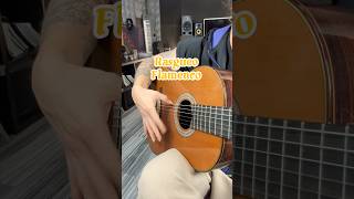 Rasgueo flamenco shortvideo guitarra guitar tecnica viral flamenco shortsviral challenge [upl. by Rind]