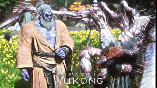 Black Myth Wukong  HundredEyed Daoist Master Chapter 4 Final Boss Fight [upl. by Nahtan]