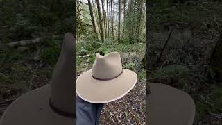 StetsonFilson Wolf Canyon Hat in Birch color [upl. by Adyht]