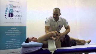 OMT Training  Lumbar Spine HVT Course [upl. by Putnem]