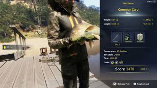 COTW The Angler Izilo Zasendulo Reserve Common Carp Location Challenge 2 [upl. by Kirre]