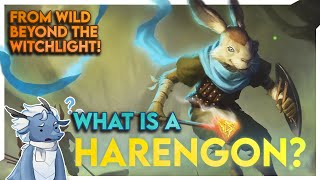 THE HARENGON joins DampD Full Breakdown of the New Race from Wild Beyond the Witchlight [upl. by Harriet]