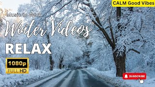 ❄ Relaxing Beautiful Music Studying Peaceful Instrumental Music quotWinter Wonderlandquot ❄ [upl. by Suoiluj]