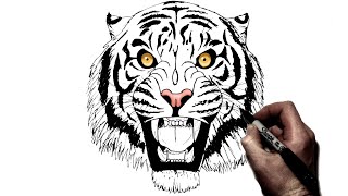 How To Draw a Tiger Roaring  Step By Step [upl. by Audris]