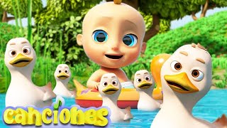 Cinco Patitos  Canciones Infantiles LooLoo  Videos para Bebés  Canciones divertida para niños [upl. by Eleanora]