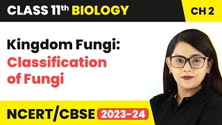 Kingdom Fungi Classification of Fungi  Class 11 Biology Chapter 2  NCERTCBSE [upl. by Gibbeon]