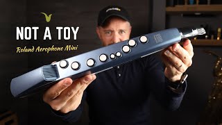 Sax in Your Pocket Roland Aerophone Mini Review [upl. by Oinegue]