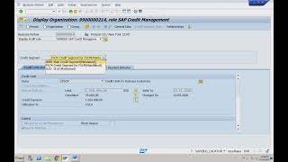 SAP S4 HANA SD 2024 FSCM Credit Management 2  17 [upl. by Ellenad960]