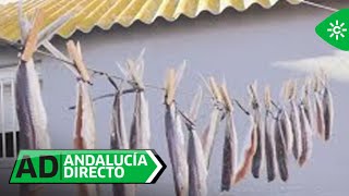 Andalucía Directo  Los volaores de La Línea de la Concepción​​ [upl. by Annaierb418]